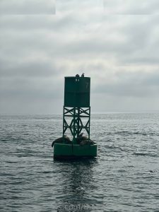 thesavannaheleven - Image 44