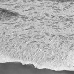 thesavannaheleven - Image 10
