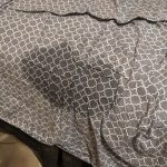 tits.n.shit - Image 74