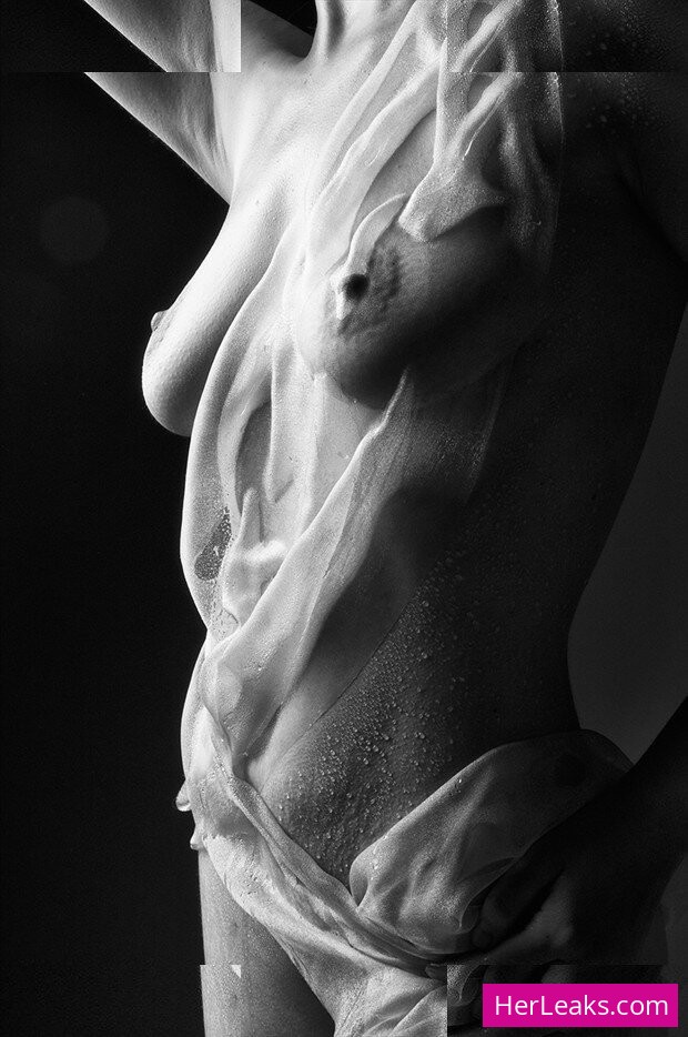 Xenia - Image 4