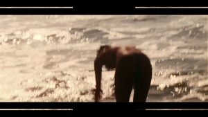 diamantino - Image 3